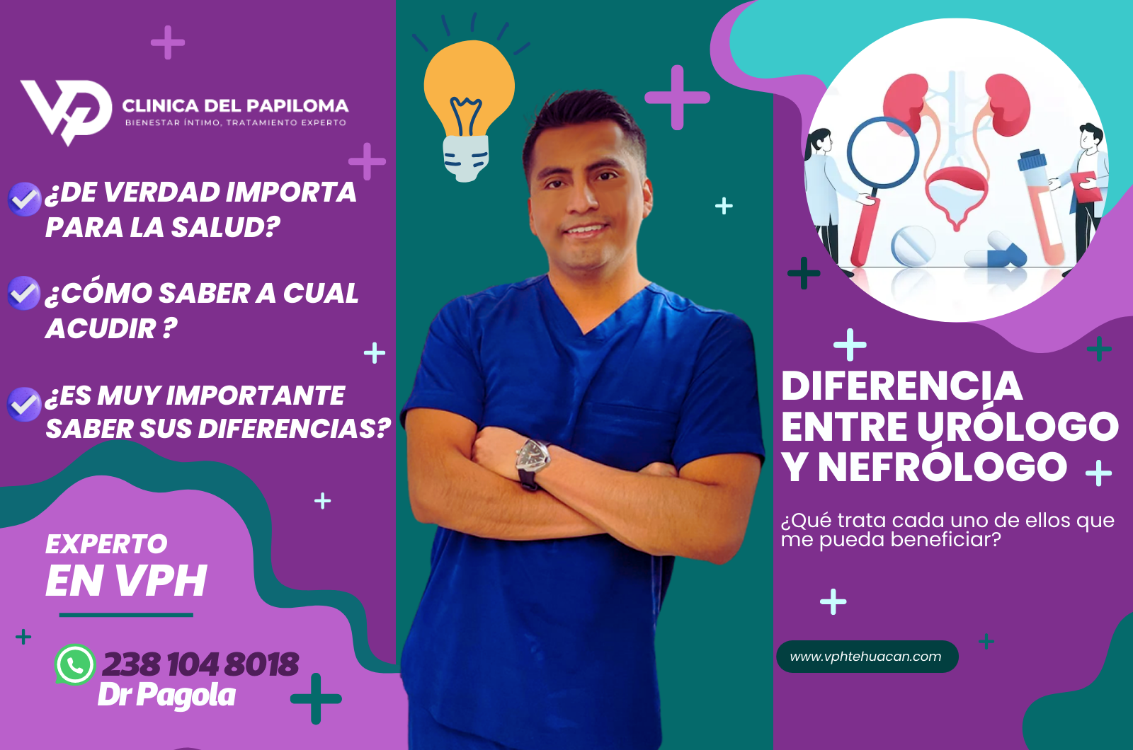 Diferencia entre urólogo y nefrólogo